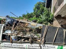 Best Commercial Junk Removal  in Stromsburg, NE